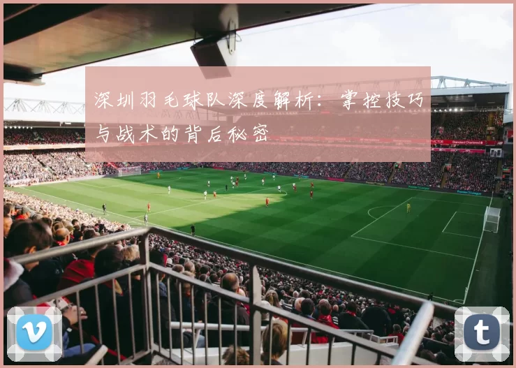 深圳羽毛球队深度解析：掌控技巧与战术的背后秘密