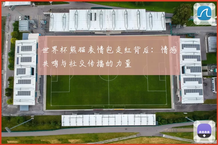 世界杯熊猫表情包走红背后:情感共鸣与社交传播的力量