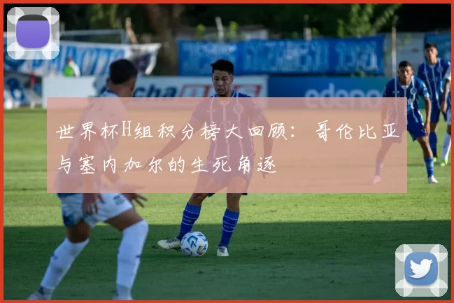 世界杯H组积分榜大回顾：哥伦比亚与塞内加尔的生死角逐