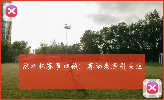欧洲杯赛事回顾:赛场表现引关注
