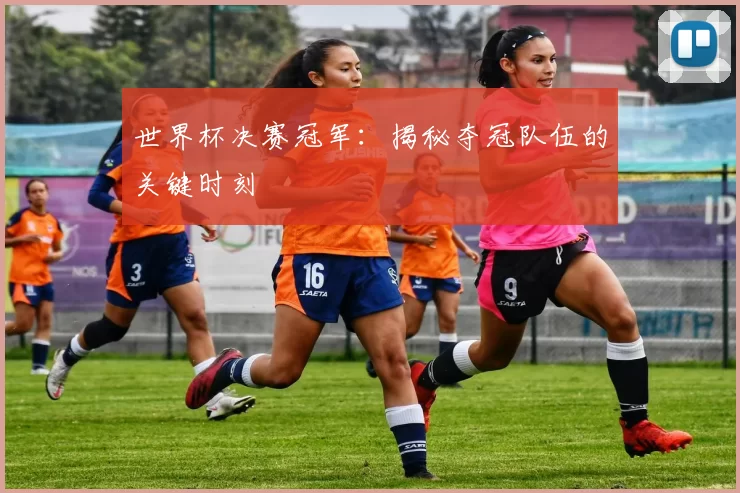 世界杯决赛冠军：揭秘夺冠队伍的关键时刻