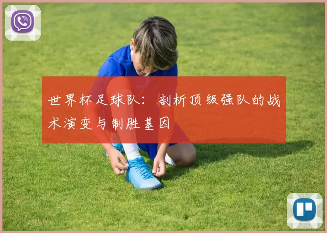世界杯足球队：剖析顶级强队的战术演变与制胜基因