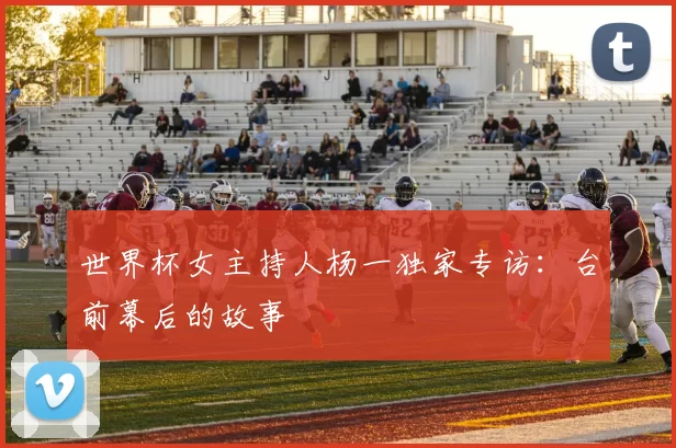 世界杯女主持人杨一独家专访:台前幕后的故事