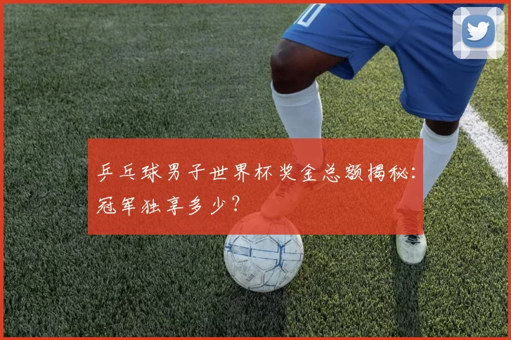 乒乓球男子世界杯奖金总额揭秘:冠军独享多少?