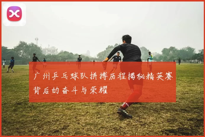 广州乒乓球队拼搏历程揭秘精英赛背后的奋斗与荣耀