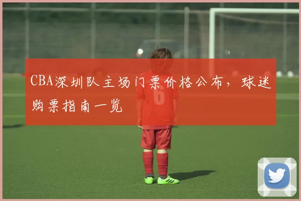 CBA深圳队主场门票价格公布，球迷购票指南一览