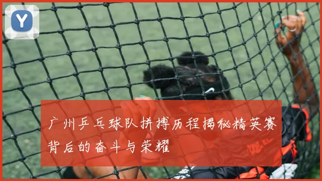 广州乒乓球队拼搏历程揭秘精英赛背后的奋斗与荣耀