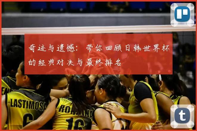 奇迹与遗憾:带你回顾日韩世界杯的经典对决与最终排名