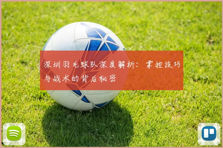 深圳羽毛球队深度解析：掌控技巧与战术的背后秘密