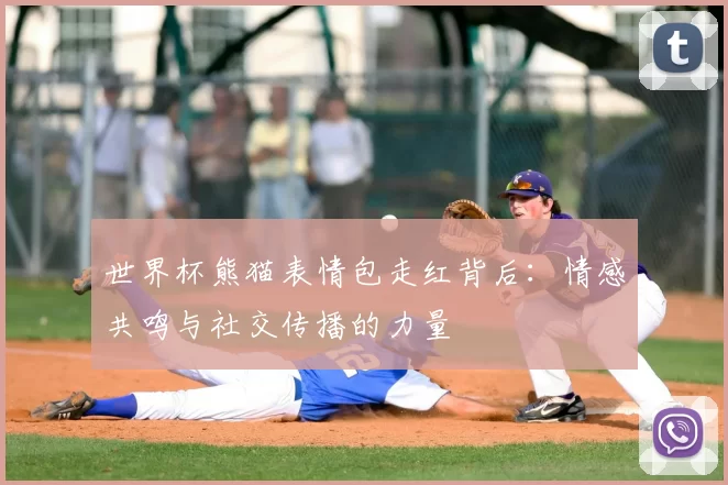 世界杯熊猫表情包走红背后：情感共鸣与社交传播的力量