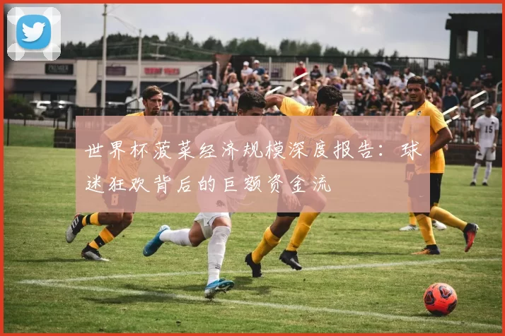 世界杯菠菜经济规模深度报告:球迷狂欢背后的巨额资金流
